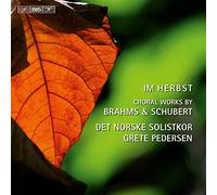 Brahms, J. - Nine Songs From Zigeunerlieder