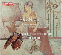 Brahms, J. - Sons (2 CD)