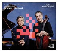 Brahms Johannes - Due Sonate E Due Romanze Per V - Cd