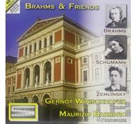Brahms Johannes - Sonata Per Violino N.1 Op.78