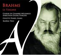 Trad. Tzigane Brahms le Tzigane (CD)