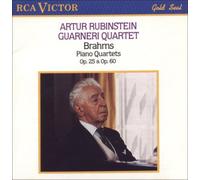 Brahms - Piano Concerto 1