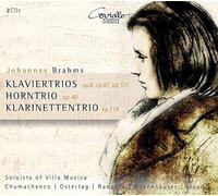 Johannes Brahms Johannes Brahms: Klaviertrios, Op. 8, Op. 87, Op. 101/... (CD)