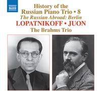 Brahms Trio: History Of The Russian Piano Trio Vol. 8 - AA.VV. (Audio Cd)
