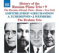 Brahms Trio: History Of The Russian Piano Trio Vol. 9 - AA.VV. (Audio Cd)