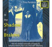 Brahms/Zemlinsky/Juon - Vol. 1-Im Schatten Von Brahms