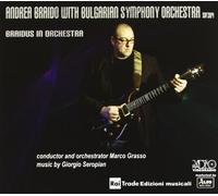 Braido Andrea With B.S.O. - Braidus in Orchestra