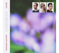 Braids Shadow Offering (Vinyl LP) 12" Album