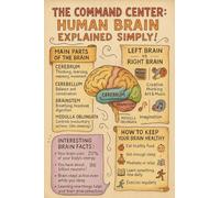 Brain Anatomy Poster Human Neurology Educational Chart for Medical Nursing Students Psychology Classroom Office Decor(Framed,08x12inch(20x30cm))