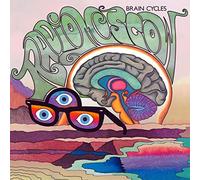 Brain Cycles