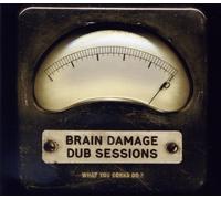 Brain Damage Dub Sessions - What You Gonna Do?