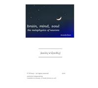 brain, mind, soul: the metaphysics of neurons