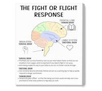 Brain Response Poster Fight or Flight Response Mental Health for Therapy Office School(Unframed,16x24inch(40x60cm))