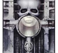 Brain Salad Surgery