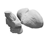 Brain Stem and Cerebellum Model Full Scale for Medical Anatomy Education