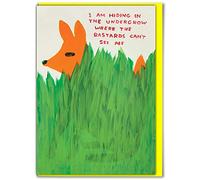 Brainbox Candy Biglietto di auguri di compleanno ufficiale David Shrigley - divertente e maleducato - “Can't See”, perfetto per i migliori amici e compagni di fidanzata - venduto in esclusiva da