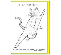 Brainbox Candy Biglietto di compleanno ufficiale David Shrigley con scritta in lingua inglese "I Am Not Cute", spiritoso e divertente, per lui, uomini, donne, amici, eccentrici, per amanti dell'arte