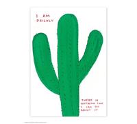 Brainbox Candy Cartolina ufficiale di David Shrigley - 'I Am Prickly' - Cartoline divertenti - David Shrigley Art - Stampa A6 - Cartolina artistica