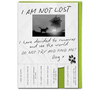 Brainbox Candy - Divertente biglietto di compleanno - con strisce strappabili - 'Not Lost Dog' - biglietti divertenti per lui e lei, divertente biglietto di compleanno - biglietti divertenti per amici