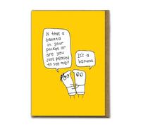 Brainbox Candy - Divertente (in rilievo) biglietto di compleanno - 'Is That A Banana In Your Pocket' - Carte umoristiche - Simpatico cartone animato illustrazione - Carino Carino Cartone Animato