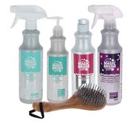 Brama West MagicBrush Set per la cura dei cavalli, lozione detergente con D-pantenolo, balsamo refrigerante, spray lucido, olio di zoccolo e spazzola per capelli lunghi | cura della pelle, della