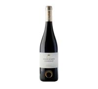 Branciforti | Branciforti dei Bordonaro Merlot | Vino Rosso Terre Siciliane | Annata 2017 | 750ml