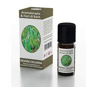 Brand Italia Respiro D'Aria Olii Essenziali + Fiori Di Bach - 60 Gr