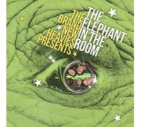 Brand New Heavies - Presents The Elephant In The Room