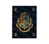 BrandMac Harry Potter, coperta in pile, 100 x 140 cm, Hogwarts