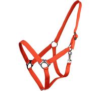 Brands of Q Cavezza con Fibbia Scorrevole, Arancione - Pony