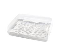 BranQ Home essential Contenitore rettangolare per torta con 2 inserti refrigeranti in plastica (PP) con copertura alta, pratica maniglia, senza BPA, trasparente/crema