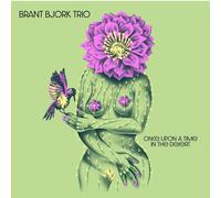 Brant Bjork And The Bros Once Upon A Time In The Desert (CD)