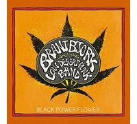 Brant Bjork And The Low Desert Punk Band - Black Power Flower