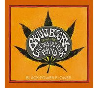 Brant Bjork and the Low Desert Punk Band Black Power Flower (CD)