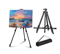Braozaiw Cavalletto per display, treppiede regolabile in metallo, con borsa per il trasporto, altezza da 43 cm a 152 cm, per pittura su tavolo o pavimento, disegni interni ed esterni, poster, tela