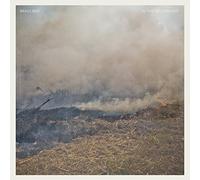 Brass Bed - In The Yellow Leaf