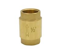 Brass Check Valve In-Line Spring 1/2" 3/4" 1" Female Thread One-Way Backflow Water Control 2pcs(1inch-DN25)
