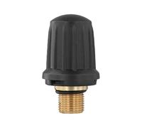 Brass Safety Valve， Compatibile con blocco di sicurezza Karcher 4.590-105.0, valvola con O-ring nero; 6.363-279. Accessorio for pulizia for pulitori a vapore(1 PACK)