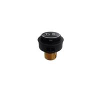 Brass Safety Valve， Pulitore a vapore in ottone di sicurezza, compatibile con KARCHER SC1 SC2 SC3 SC4 SC5 SG4-4 Sostituisci il coperchio(Black)