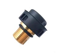 Brass Safety Valves Industrial Steam Equipment Steam Machine Safety Valves For Steam Cleaners(For Model D)