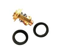 Brass Thermostat & Seals Kit for Outboard Motors Replacement Parts