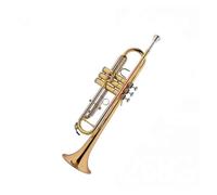 BrassTromba Esame delle prestazioni dello strumento a tromba strumento a fiato Dong rame fosforo bronzo lacca oro