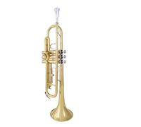 BrassTromba Esame per studenti di banda di strumenti per tromba in si bemolle con tubo in ottone aggiornato per principianti