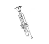 BrassTromba Nobile strumento a tromba d'argento Tromba in Si bemolle a tre toni che suona il corno