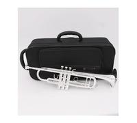 BrassTromba Strumento a tromba Collezione musicale professionale placcato argento