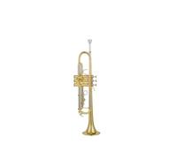 BrassTromba Strumento a tromba in Si bemolle modello oro professionale per prestazioni da orchestra