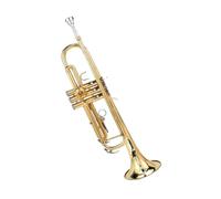 BrassTromba Strumento a tromba si bemolle professionale che suona uno studente principiante di tromba a tre note