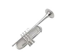 BrassTromba Strumento professionale per tromba C placcato argento Accessori per bocchino professionale per tromba C con scatola
