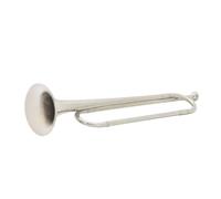 BrassTromba Tromba in metallo Strumento professionale in ottone Tromba per giovani Tromba Musica Regalo Banda scolastica(Color:2)