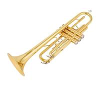 BrassTromba Tromba in Sib di alta qualità in Sib piatto in ottone placcato argento Strumento musicale a tromba professionale con custodia in pelle(Color:3/4)